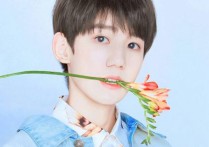 WillYou吉他谱,原版王源歌曲,简单C调弹唱教学,吴先生版六线指弹简谱图