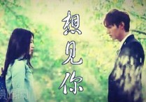 想见你想见你想见你吉,阿噗歌曲,简单指弹教学简谱,吉他专家六线谱图片