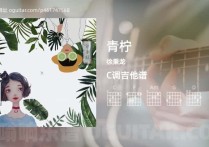 青柠吉他谱,徐秉龙歌曲,C调高清图,5张六线原版简谱