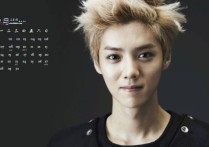 勋章吉他谱,鹿晗歌曲,C调指弹简谱,新手弹唱和弦谱