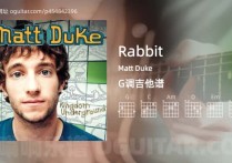 Rabbit吉他谱,Matt Duke歌曲,G调高清图,4张六线原版简谱