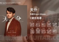 天分吉他谱,肖恩Shaun Gibson歌曲,C调高清图,4张六线原版简谱