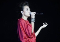 失踪吉他谱,林忆莲歌曲,C调指弹简谱,新手弹唱