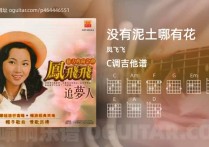 没有泥土哪有花吉他谱,凤飞飞歌曲,C调高清图,3张六线原版简谱