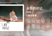 永恒的印记吉他谱,张信哲歌曲,C调指弹简谱,6张教学六线谱