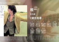唯一吉他谱,王力宏歌曲,C调高清图,3张六线原版简谱