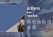 你还好吗吉他谱,赵紫骅歌曲,C调高清图,4张六线原版简谱