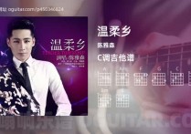 温柔乡吉他谱,陈雅森歌曲,C调高清图,6张六线原版简谱