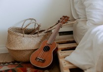 只要有你的地方吉他谱,新手C调,唯音悦编配,林俊杰版