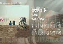 耿耿于怀吉他谱,王笑文歌曲,G调高清图,4张六线原版简谱