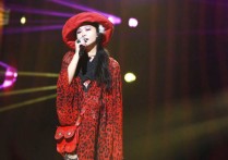 都是夜归人吉他谱,原版许美静歌曲,简单C调弹唱教学,网络转载版六线指弹简谱图