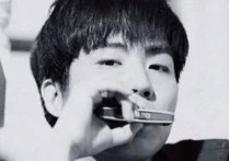 午餐吉他谱,晓月老板歌曲,C调指弹简谱,新手弹唱和弦谱