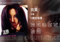 完美吉他谱,王蓉歌曲,C调高清图,5张六线原版简谱