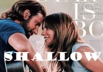 Shallow吉他谱,Lady歌曲,简单指弹教学简谱,星辰音乐六线谱图片