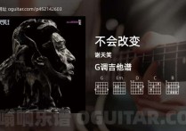 不会改变吉他谱,谢天笑歌曲,G调高清图,5张六线原版简谱
