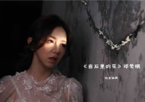 岩石里的花吉他谱,原版歌曲,简单G调弹唱教学,六线谱指弹简谱2张图