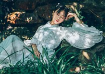 腐草为萤吉他谱,原版银临歌曲,简单C调弹唱教学,音乐之家版六线指弹简谱图