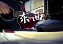 东西吉他谱,原版林俊呈歌曲,简单C调弹唱教学,优咔音乐版六线指弹简谱图