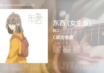 东西 (女生版)吉他谱,西二歌曲,C调高清图,3张六线原版简谱