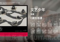 文艺少年吉他谱,张磊歌曲,C调高清图,5张六线原版简谱