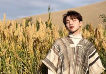 昨日青空吉他谱,原版尤长靖歌曲,简单F调弹唱教学,琴艺谱版六线指弹简谱图