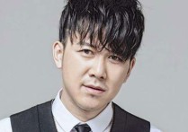 有太多人吉他谱,高进歌曲,D调指弹简谱,新手弹唱和弦谱