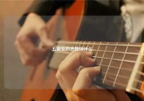 五根弦的吉他叫什么