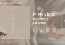 In My Blood吉他谱,Shawn Mendes歌曲,C调高清图,4张六线原版简谱