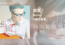 细腻吉他谱,夏天Alex歌曲,G调高清图,4张六线原版简谱