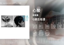 心酸吉他谱,林宥嘉歌曲,G调高清图,4张六线原版简谱