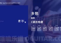 乡愁吉他谱,赵照歌曲,C调高清图,5张六线原版简谱