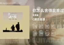 你怎么舍得我难过吉他谱,尚雯婕歌曲,C调高清图,3张六线原版简谱
