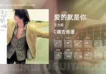 爱的就是你吉他谱,王力宏歌曲,C调高清图,5张六线原版简谱