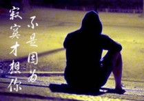 不是因为寂寞才想你吉他谱,原版王小帅歌曲,简单C调指弹曲谱,高清六线乐谱