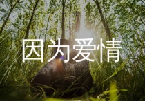 因为爱情吉他谱,陈奕迅歌曲,G调简单指弹教学简谱,无限延音版六线谱图片