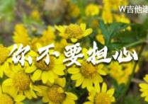 请回答1988 你不要担心吉他谱,简单G调原版弹唱曲谱,李笛高清六线谱简谱