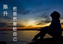 把悲伤留给自己吉他谱,原版陈升歌曲,简单C调弹唱教学,17吉他网版六线指弹简谱图