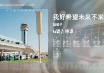 我好希望未来不来吉他谱,新裤子歌曲,G调高清图,3张六线原版简谱