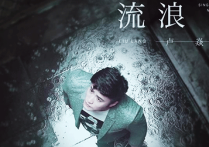 卢焱流浪吉他谱,卢焱歌曲,C调简单指弹教学简谱,音艺六线谱图片