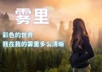 雾里吉他谱,原版姚六一歌曲,简单C调指弹曲谱,高清六线乐谱