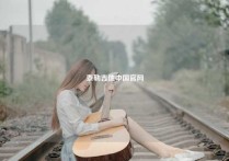 泰勒吉他中国官网