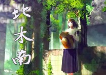北木南吉他谱,罗永川歌曲,C调简单指弹教学简谱,吴先生六线谱图片