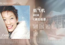 纸飞机吉他谱,林忆莲歌曲,C调高清图,5张六线原版简谱
