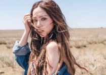 睡公主吉他谱,TXT谱歌曲,大树指弹简谱,新手弹唱图片谱