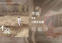 不说吉他谱,李晋歌曲,G调指弹简谱,6张教学六线谱