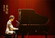 需要人陪吉他谱,王力宏歌曲,G调高清图,中难度六线简谱