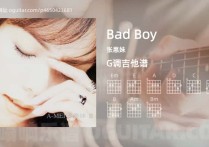 Bad Boy吉他谱,张惠妹歌曲,G调高清图,5张六线原版简谱