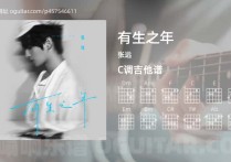 有生之年吉他谱,张远歌曲,C调高清图,4张六线原版简谱