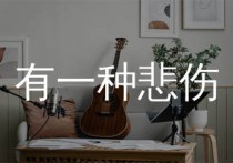有一种悲伤吉他谱,黄丽玲歌曲,C调简单指弹教学简谱,7T吉他教室版六线谱图片