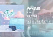 自作聪明吉他谱,刘大壮歌曲,C调高清图,3张六线原版简谱